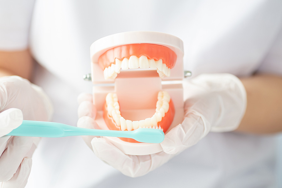 歯が痛くなる前の予防プログラム重視の歯医者です。